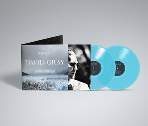 David Gray - Life In Slow Motion ( 20th Anniversary Edition )