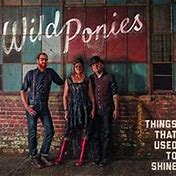Wild Ponies - Things That Used To Shine