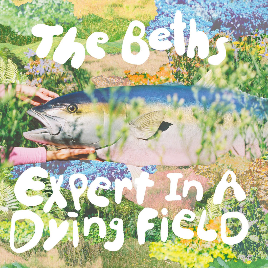 Beths, The - Expert In A Dying Field