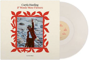 Curtis Harding - If Words Were Flowers