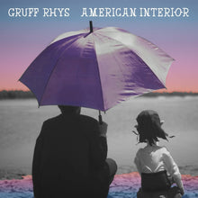 Load image into Gallery viewer, Gruff Rhys - American Interior

