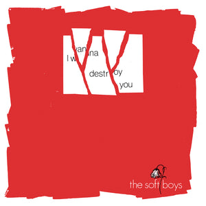Soft Boys, The - I Wanna Destroy You / Near The Soft Boys (40th Anniversary Edition)
