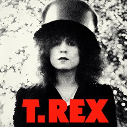 T Rex - The Slider