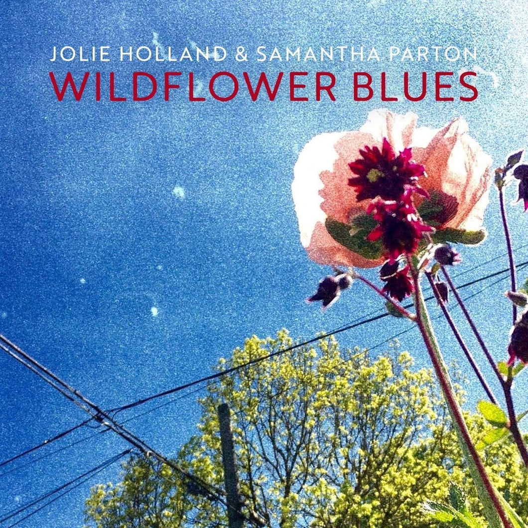 Jolie Holland - Wildflower Blues