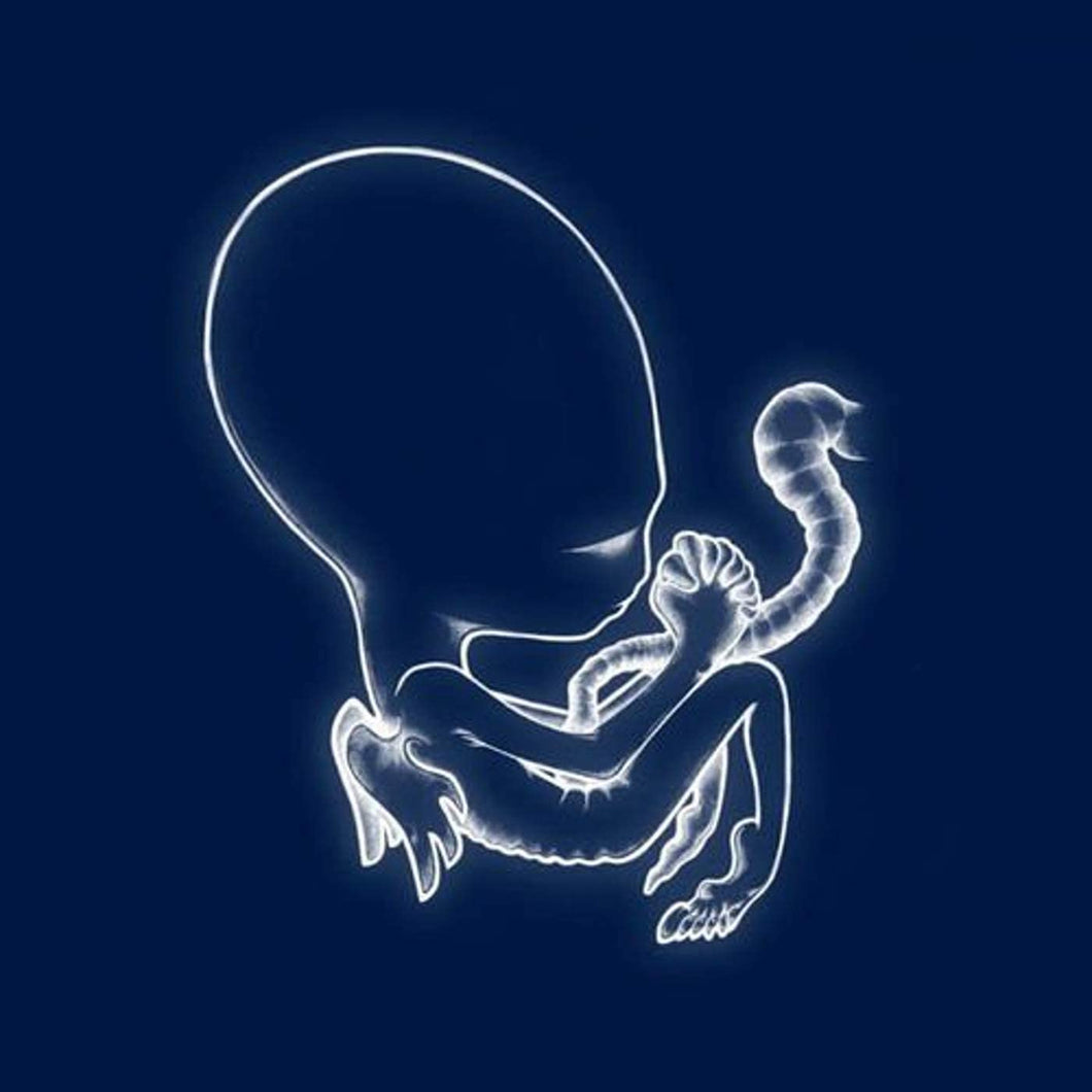 Sigur Rós - Ágætis Byrjun