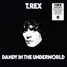 Load image into Gallery viewer, T Rex - Dandy In The Underworld
