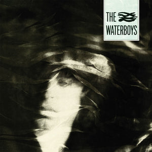 The Waterboys - Self Titled